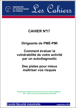 Dirigeants de PME-PMI : Comment valuer la vulnrabilit de votre activit par un autodiagnostic