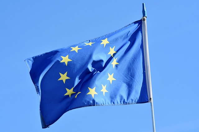 LES INGNIEURS ET L'EUROPE