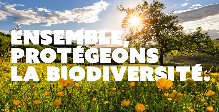 Tous Biodiversité Tous Biodiversité